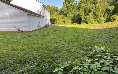 Photo of Nyk R.'s yard after getting lawn care in Zion, IL