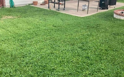 Photo of Amber P.'s yard after getting lawn care in Westford, MA