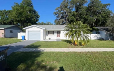 Photo of Morgan G.'s yard after getting lawn care in Seffner, FL