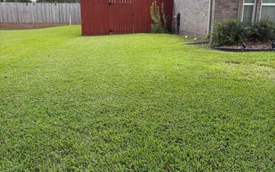 Photo of Ann G.'s yard after getting lawn care in Everett, WA