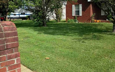 Photo of Carlos R.'s yard after getting lawn care in Murfreesboro, TN