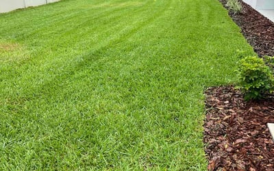 Photo of Cari S.'s yard after getting lawn care in Englewood, FL