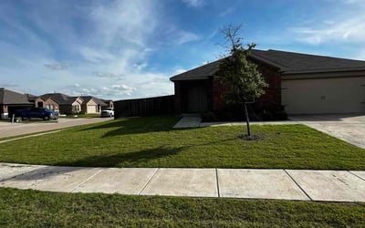 Photo of Amber Z.'s yard after getting lawn care in Fort Walton Beach, FL