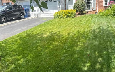 Photo of Cordell K.'s yard after getting lawn care in Whitehall, PA