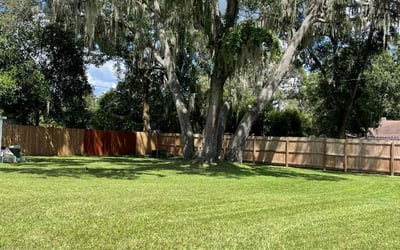 Photo of Janet s.'s yard after getting lawn care in Avondale, AZ