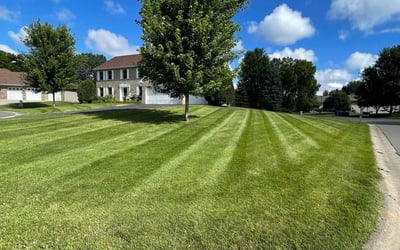 Photo of Toby A.'s yard after getting lawn care in Hastings, MN