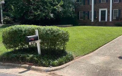 Photo of Donna M.'s yard after getting lawn care in Raleigh, NC