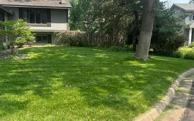 Photo of Amanda L.'s yard after getting lawn care in Flower Mound, TX