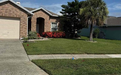 Photo of Maria G.'s yard after getting lawn care in Philadelphia, PA