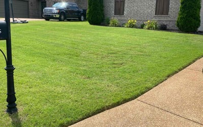 Photo of Barry D.'s yard after getting lawn care in Wake Forest, NC