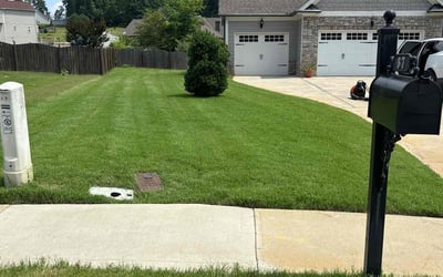 Photo of David L.'s yard after getting lawn care in Martinsburg, WV