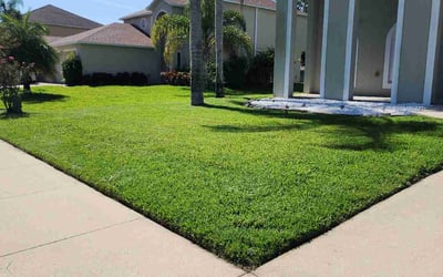 Photo of Joan N.'s yard after getting lawn care in Leesburg, FL
