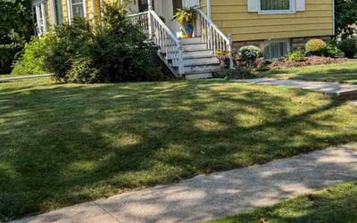 Photo of Jodie V.'s yard after getting lawn care in Sheboygan, WI