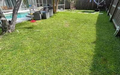 Photo of Karen P.'s yard after getting lawn care in Grandview, MO