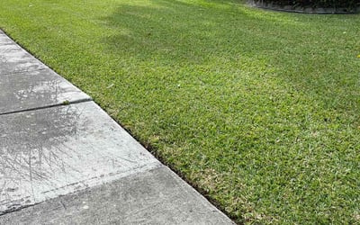 Photo of Lynn S.'s yard after getting lawn care in Miami, FL