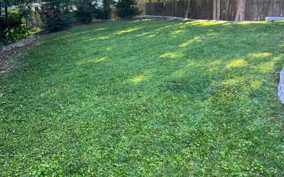 Photo of Robin B.'s yard after getting lawn care in Winder, GA