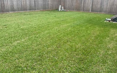 Photo of Sam A.'s yard after getting lawn care in Pearland, TX