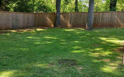 Photo of Jory B.'s yard after getting lawn care in Atlanta, GA