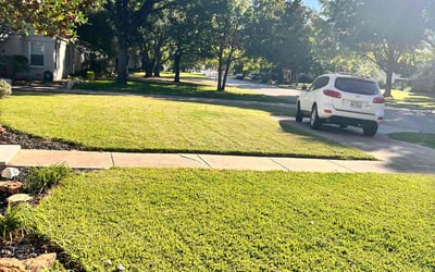 Photo of Janice Y.'s yard after getting lawn care in Westminster, CO