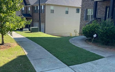 Photo of Laura L.'s yard after getting lawn care in Owensboro, KY