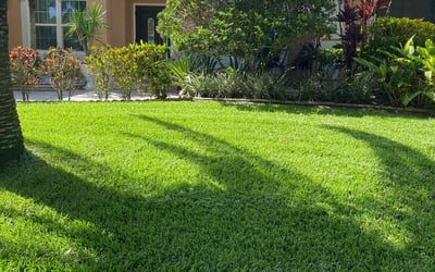 Photo of Joey F.'s yard after getting lawn care in Tonawanda, NY