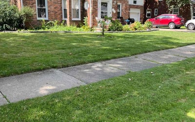 Photo of Jeffrey E.'s yard after getting lawn care in Harper Woods, MI