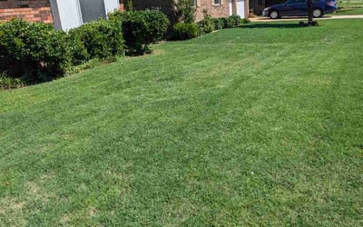 Photo of Devin N.'s yard after getting lawn care in Mustang, OK