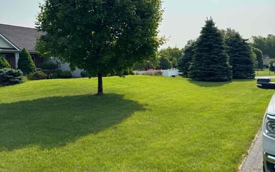 Photo of Tom C.'s yard after getting lawn care in Rotterdam, NY