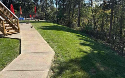 Photo of Yves H.'s yard after getting lawn care in Newport, KY