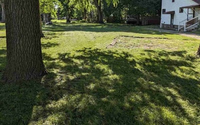 Photo of Shea M.'s yard after getting lawn care in Holt, MI