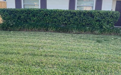 Photo of Kimberly B.'s yard after getting lawn care in Brick, NJ