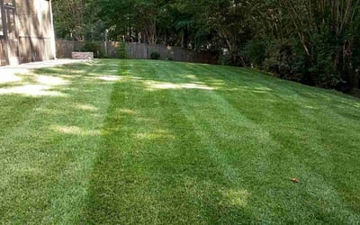 Photo of Dayla R.'s yard after getting lawn care in Monroe, NC