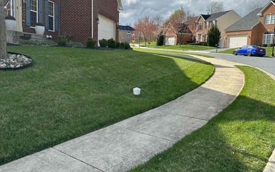 Photo of Aftan W.'s yard after getting lawn care in Ocean City, MD