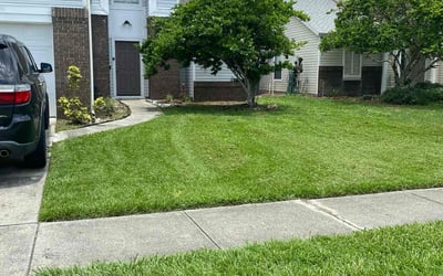 Photo of Sheena P.'s yard after getting lawn care in Savannah, GA