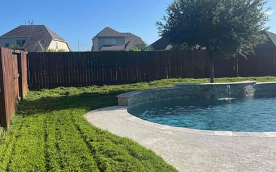 Photo of Elena D.'s yard after getting lawn care in Oceanside, CA