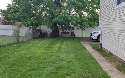Photo of Michele M.'s yard after getting lawn care in Massapequa, NY