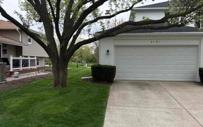 Photo of Elizabeth K.'s yard after getting lawn care in Cary, IL