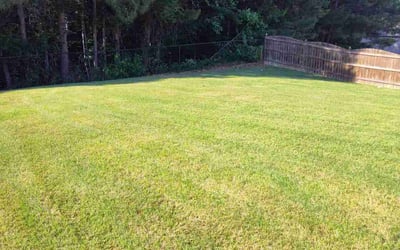 Photo of Phil S.'s yard after getting lawn care in Ball Ground, GA