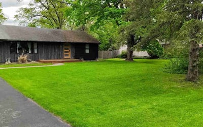 Photo of Cole B.'s yard after getting lawn care in West Haven, CT