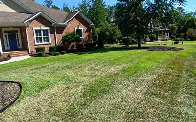 Photo of Paige K.'s yard after getting lawn care in South Milwaukee, WI