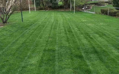 Photo of Maggie B.'s yard after getting lawn care in Pewaukee, WI