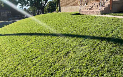 Photo of James M.'s yard after getting lawn care in Roseville, MI
