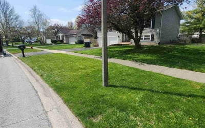 Photo of M P.'s yard after getting lawn care in Naperville, IL