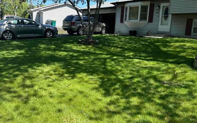 Photo of LYNN L.'s yard after getting lawn care in Zion, IL
