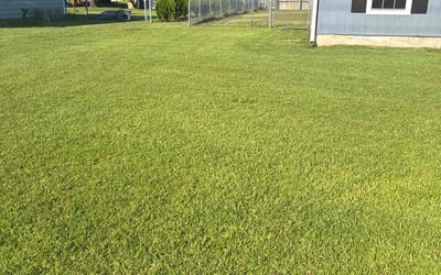 Photo of Robert G.'s yard after getting lawn care in Mineola, NY