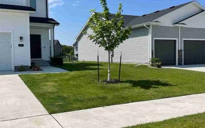 Photo of Michael b.'s yard after getting lawn care in Johnston, IA