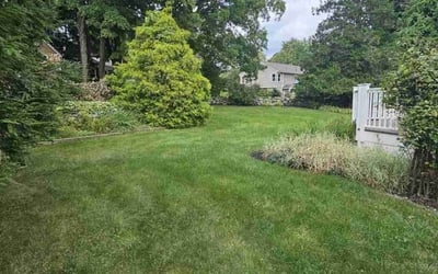 Photo of Alexandria A.'s yard after getting lawn care in Westborough, MA