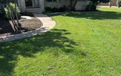 Photo of Amber W.'s yard after getting lawn care in Salem, MA