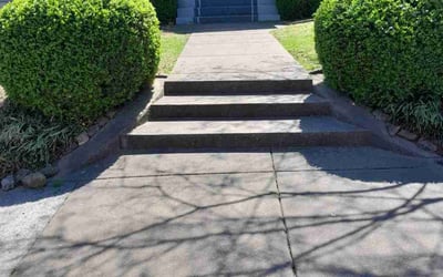 Photo of Jim L.'s yard after getting lawn care in Somerville, TN