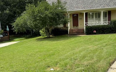 Photo of Chris T.'s yard after getting lawn care in Cary, NC